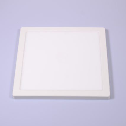 Globo - Plafoniera LED LED/24W/230V 3000/4000/6500K bianco