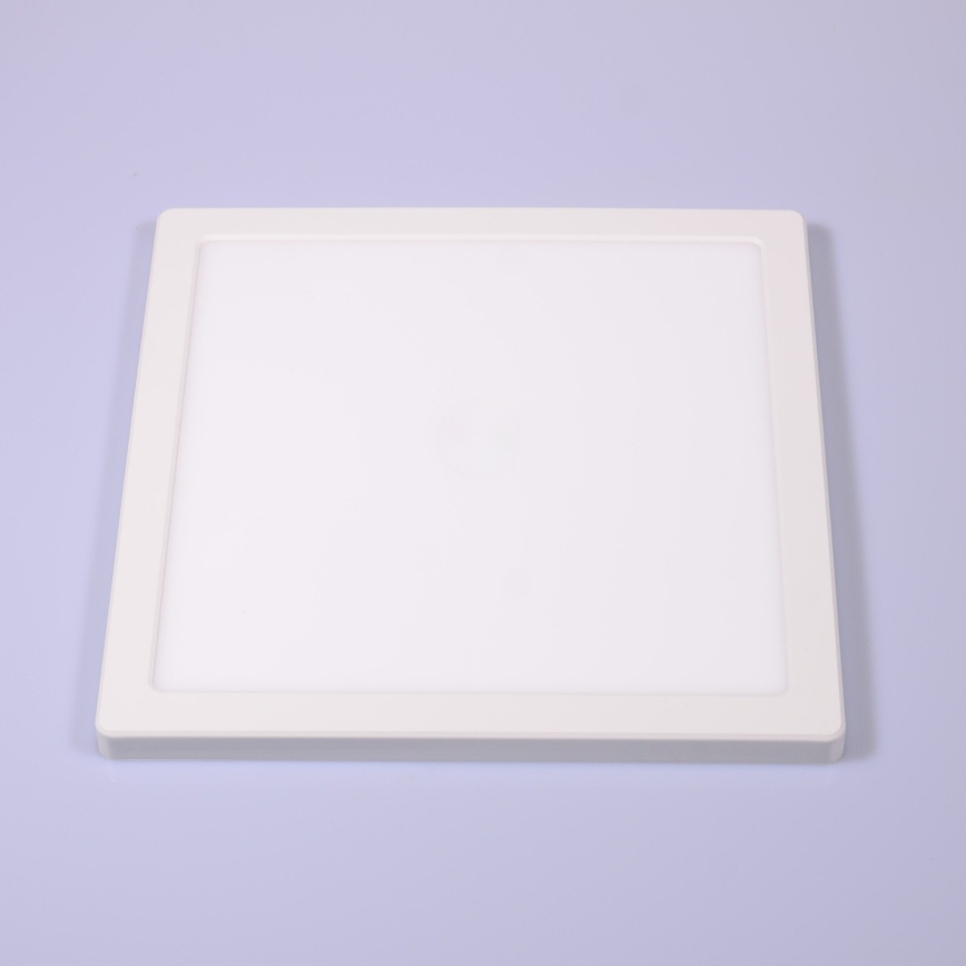 Globo - Plafoniera LED LED/24W/230V 3000/4000/6500K bianco