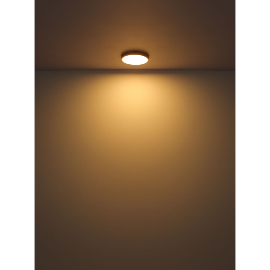 Globo - Plafoniera LED LED/15W/230V diametro 25 cm