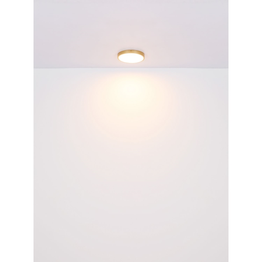 Globo - Plafoniera LED LED/15W/230V diametro 25 cm