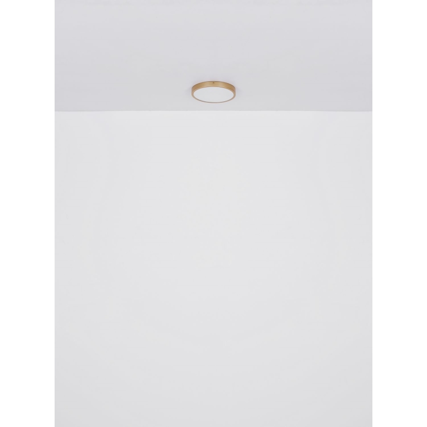 Globo - Plafoniera LED LED/15W/230V diametro 25 cm