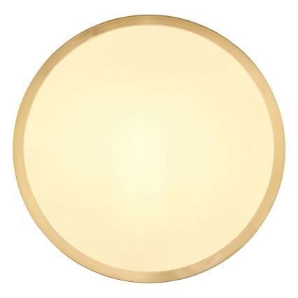 Globo - Plafoniera LED LED/15W/230V diametro 25 cm