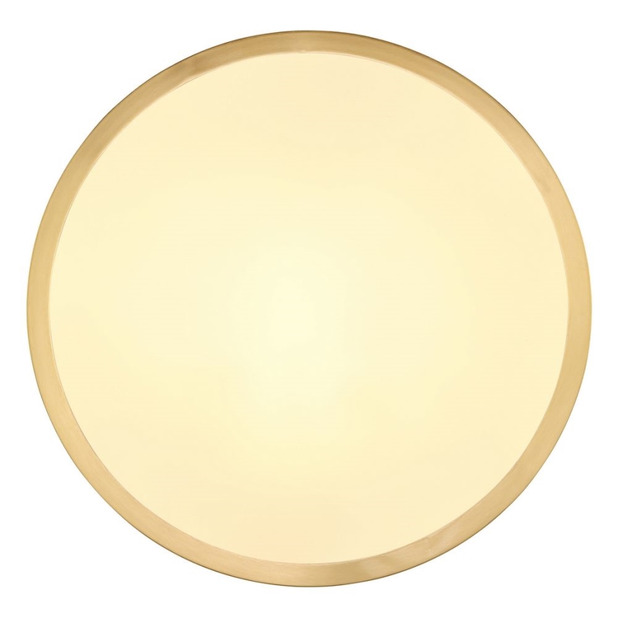 Globo - Plafoniera LED LED/15W/230V diametro 25 cm