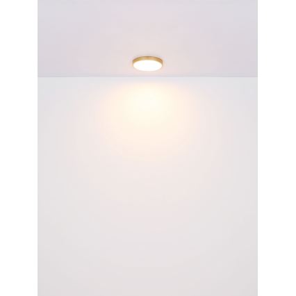 Globo - Plafoniera LED LED/22W/230V diametro 35 cm