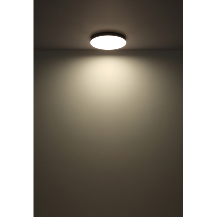 Globo - Plafoniera LED LED/50W/230V 3000K/4000K/6500K diametro 50 cm bianco