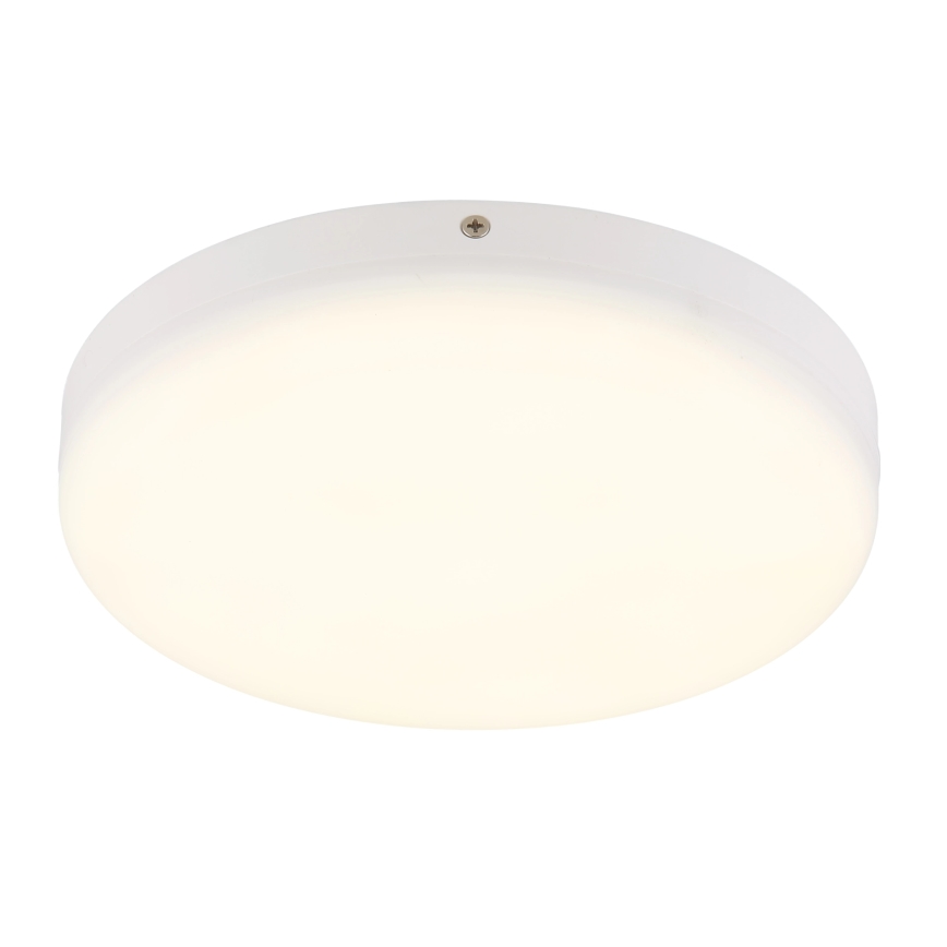 Globo - Plafoniera LED LED/12W/230V 4000K diametro 22 cm bianco