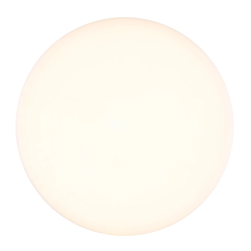 Globo - Plafoniera LED LED/12W/230V 4000K diametro 22 cm bianco
