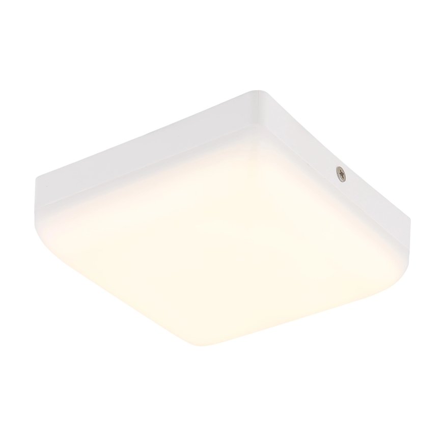 Globo - Plafoniera LED LED/8W/230V 4000K 12x12 cm bianco