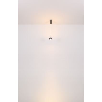 Globo - Lampadario LED a sospensione con filo LED/6W/230V