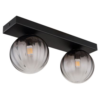 Globo - Plafoniera 2xG9/10W/230V