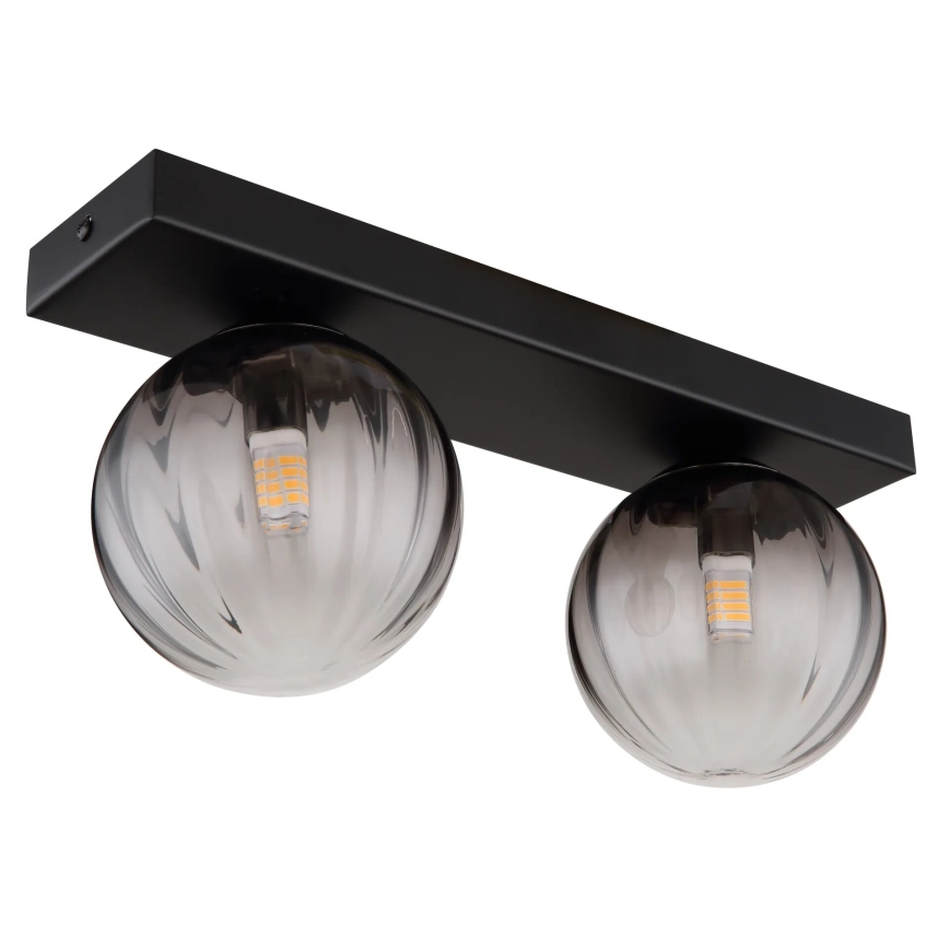Globo - Plafoniera 2xG9/10W/230V