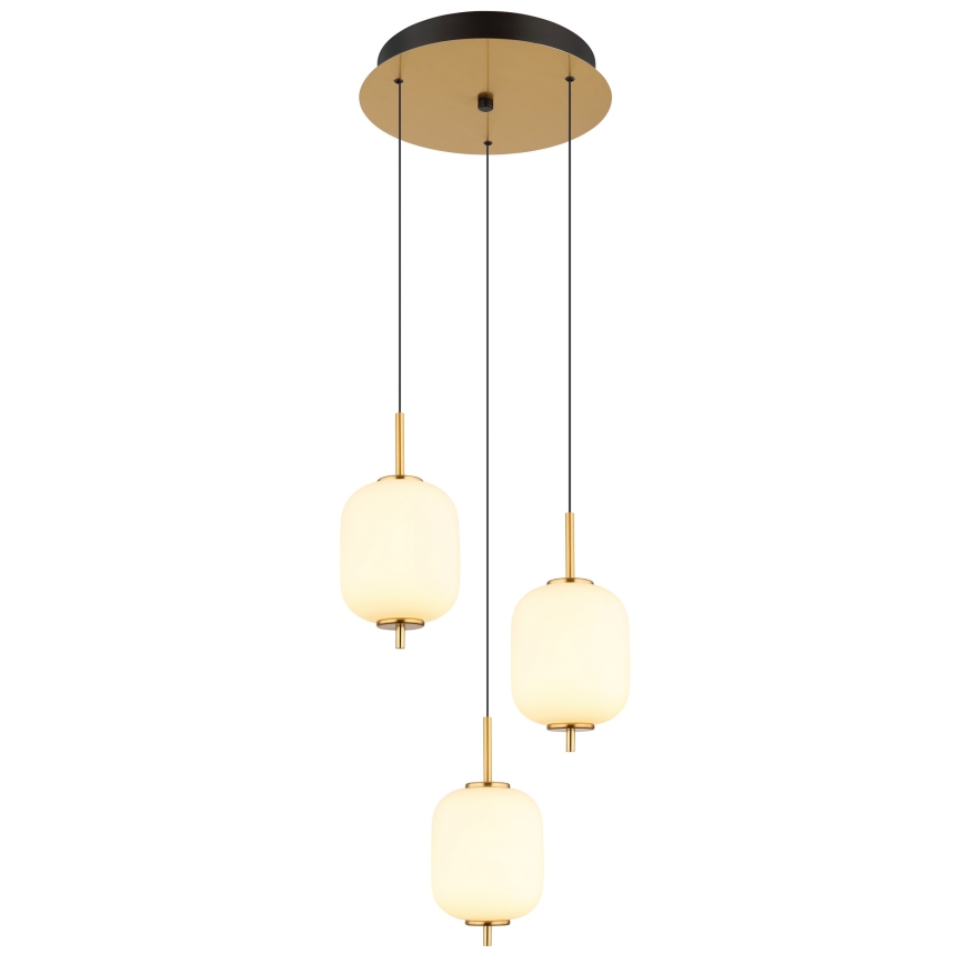 Globo - Lampadario LED a sospensione con filo LED/20W/230V