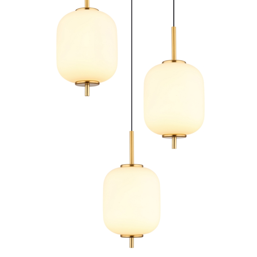 Globo - Lampadario LED a sospensione con filo LED/20W/230V
