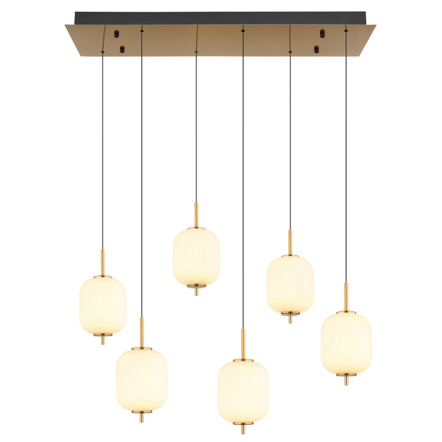 Globo - Lampadario LED a sospensione con filo 6xLED/6,7W/230V