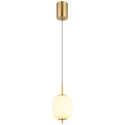 Globo - Lampadario LED a sospensione con filo LED/7W/230V