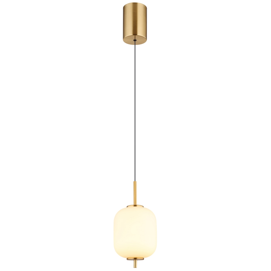 Globo - Lampadario LED a sospensione con filo LED/7W/230V