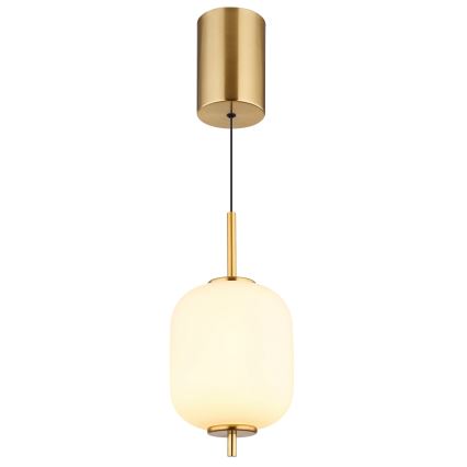 Globo - Lampadario LED a sospensione con filo LED/7W/230V
