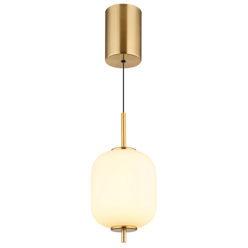 Globo - Lampadario LED a sospensione con filo LED/7W/230V