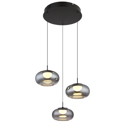 Globo - Lampadario LED a sospensione con filo 3xLED/6W/230V