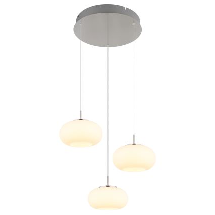 Globo - Lampadario LED a sospensione con filo 3xLED/6W/230V