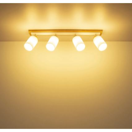 Globo - Plafoniera con 4 faretti 4xE27/60W/230V, rovere/bianco