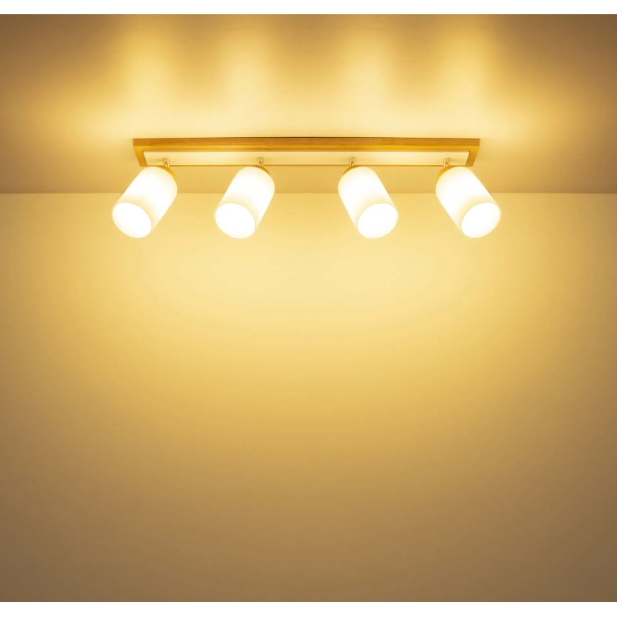 Globo - Plafoniera con 4 faretti 4xE27/60W/230V, rovere/bianco