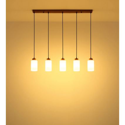 Globo - Lampadario a sospensione con cavo 5xE27/60W/230V rovere/bianco
