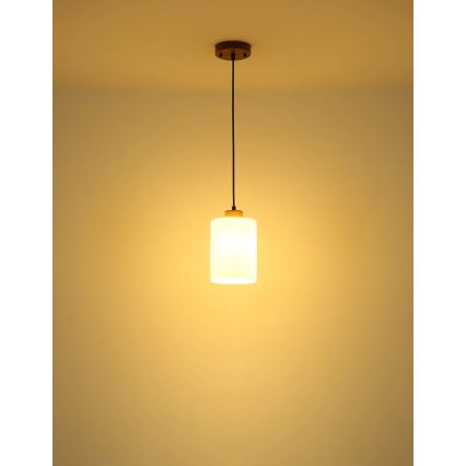 Globo - Lampadario a cavo 1xE27/60W/230V rovere/bianco