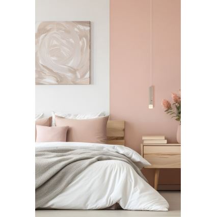 Globo - Lampada ricaricabile dimmerabile a sfioramento 2 in 1 LED/2W/230/5V