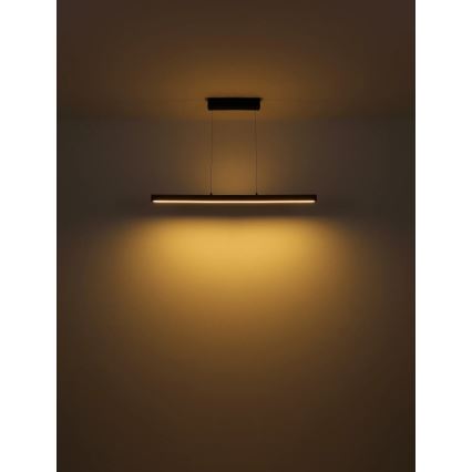 Globo - Lampadario LED dimmerabile con controllo touch su cavo LED/24W/230V + LED/3W 3000K marrone