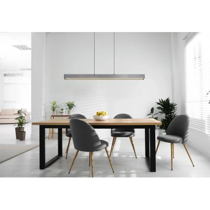 Globo - Lampadario a sospensione dimmerabile con comando touch su cavo LED/39W/230V 2700/4000/6000K grigio