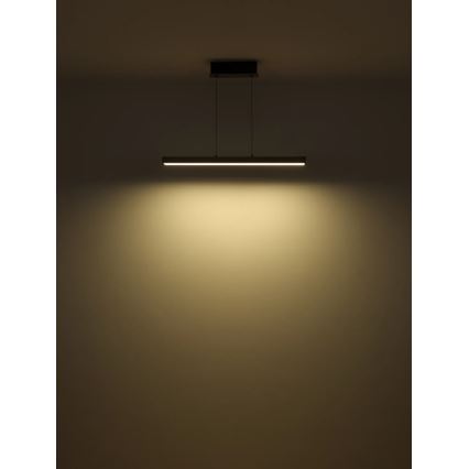 Globo - Lampadario a sospensione dimmerabile con comando touch su cavo LED/39W/230V 2700/4000/6000K grigio