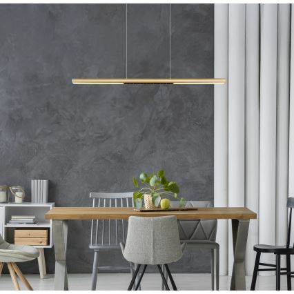 Globo - Lampadario a sospensione su cavo LED/24W/230V 3000K