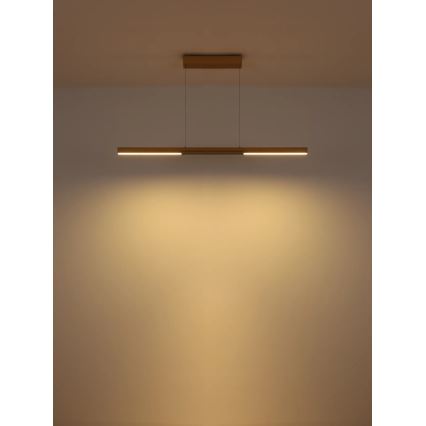 Globo - Lampadario a sospensione su cavo LED/24W/230V 3000K