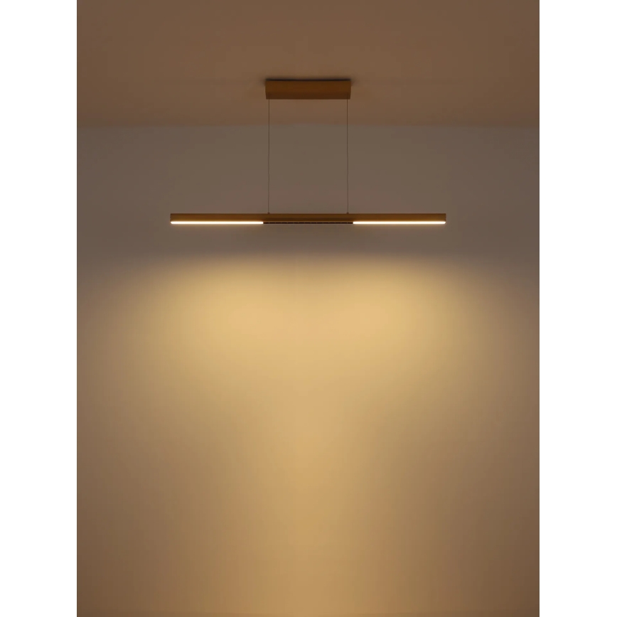 Globo - Lampadario a sospensione su cavo LED/24W/230V 3000K