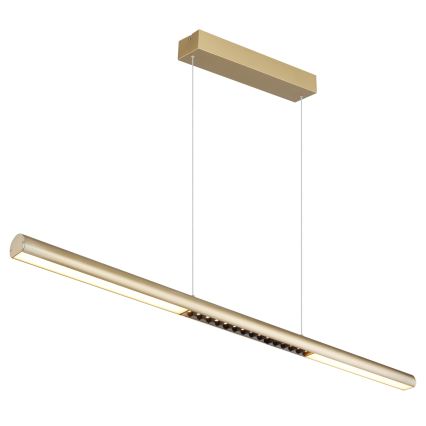 Globo - Lampadario a sospensione su cavo LED/24W/230V 3000K