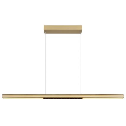 Globo - Lampadario a sospensione su cavo LED/24W/230V 3000K
