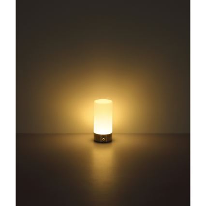 Globo - Lampada da tavolo LED RGBW Dimmerabile touch per esterni LED/1,8W/5V 1500 mAh IP44 cromo opaco