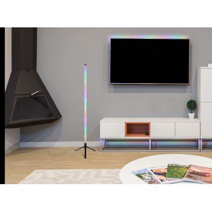 Globo - Lampada da terra LED RGB dimmerabile LED/7W/5V + telecomando
