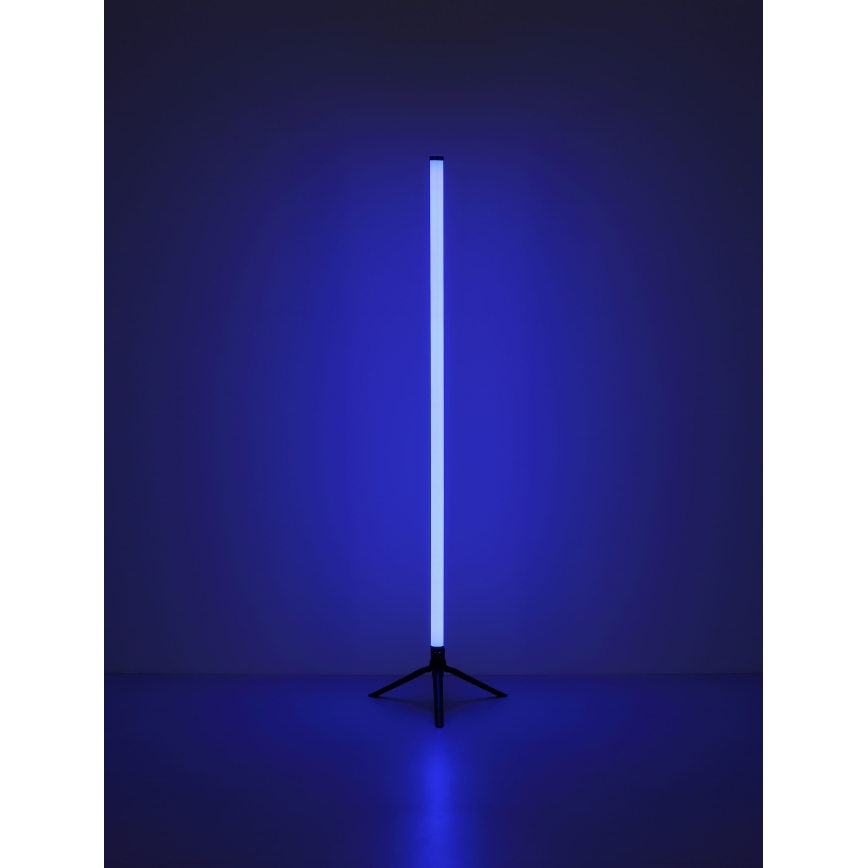 Globo - Lampada da terra LED RGB dimmerabile LED/7W/5V + telecomando