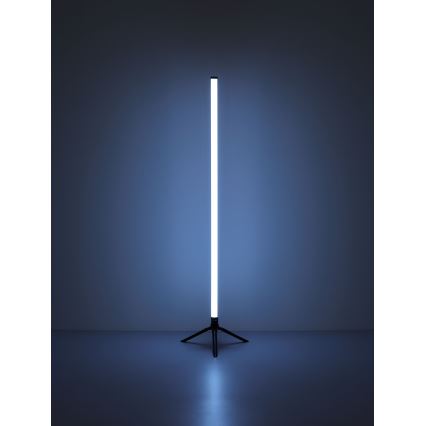 Globo - Lampada da terra LED RGB dimmerabile LED/7W/5V + telecomando