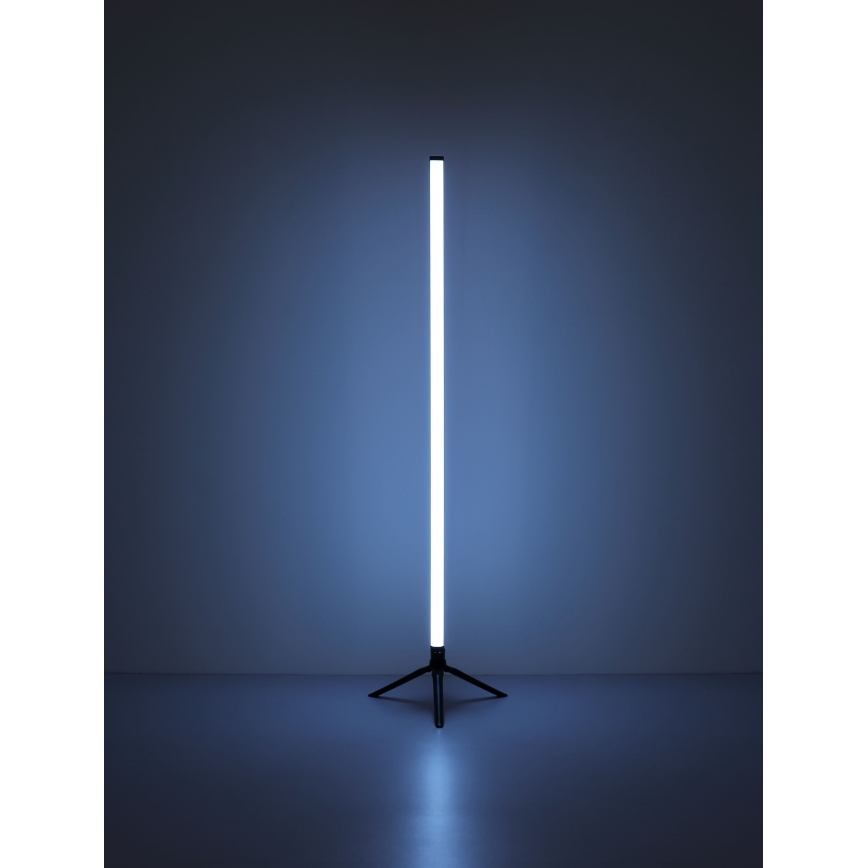 Globo - Lampada da terra LED RGB dimmerabile LED/7W/5V + telecomando