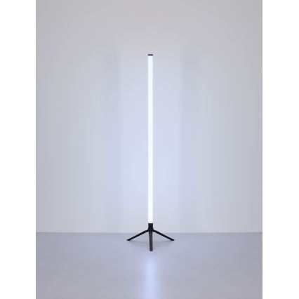 Globo - Lampada da terra LED RGB dimmerabile LED/7W/5V + telecomando