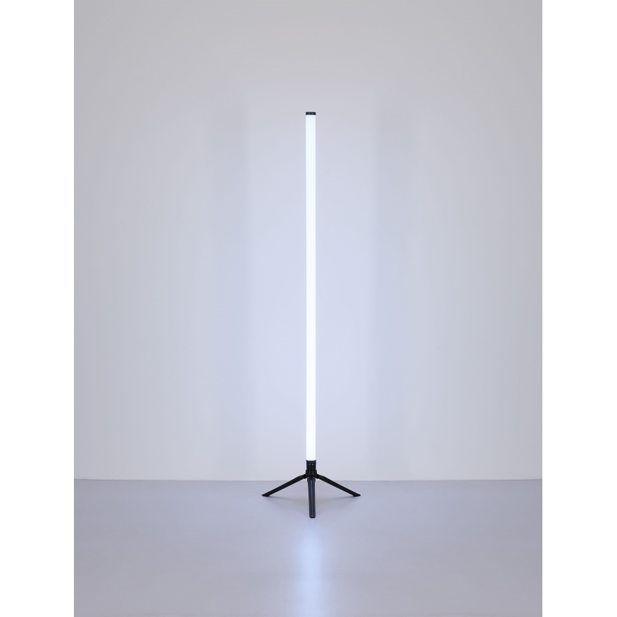 Globo - Lampada da terra LED RGB dimmerabile LED/7W/5V + telecomando