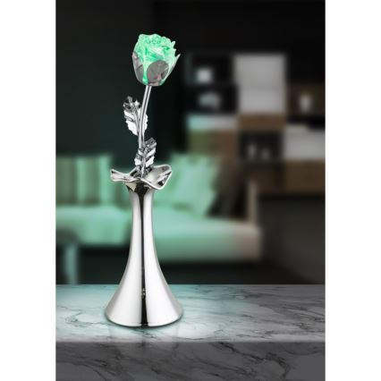 Globo - LED RGB Lampada decorativa LED/0,06W/3xAAA