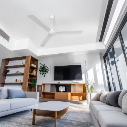 Globo - Ventilatore da soffitto