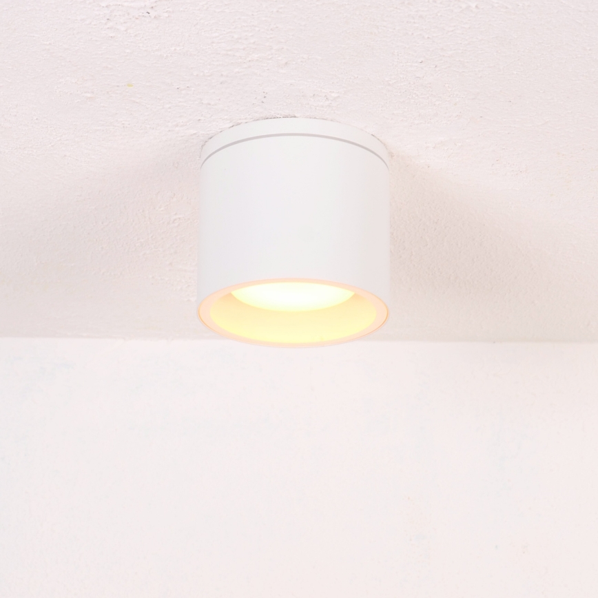 Globo - Plafoniera da esterno 1xGX53/11W/230V IP44