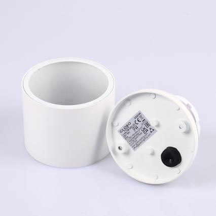 Globo - Plafoniera da esterno 1xGX53/11W/230V IP44