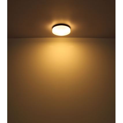 Globo - Lampada da bagno 2xE27/60W/230V diametro 24 cm IP44