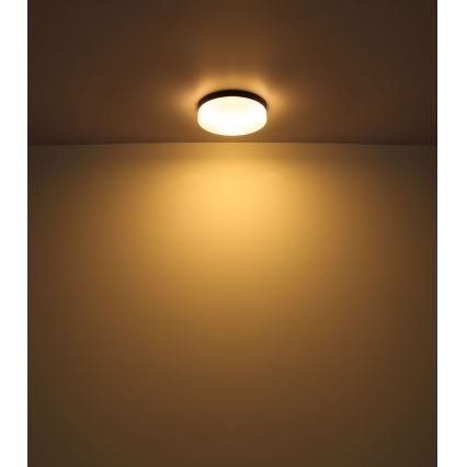 Globo - Lampada da bagno 3xE27/60W/230V diametro 30 cm IP44